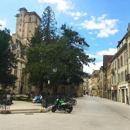 Le Lion Des Ducs : Centre Historique De Apartamento Dijon